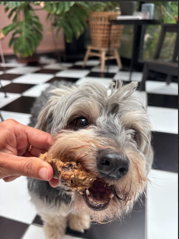 RebelBites( para pequeños )