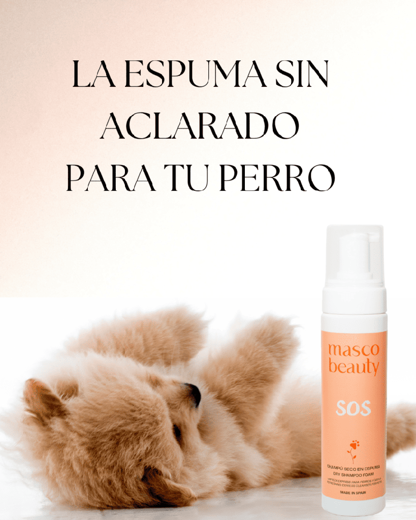 Champú seco en espuma "SOS"