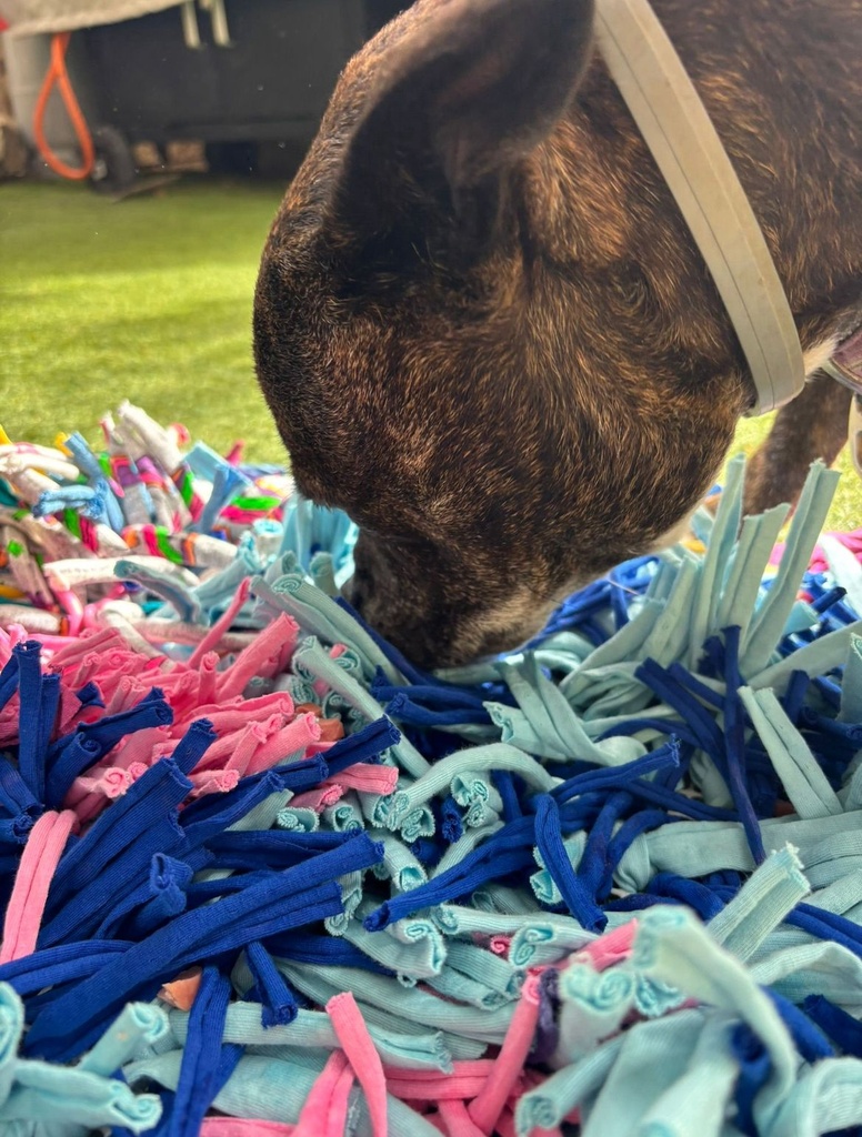 Alfombra olfativa (copia)