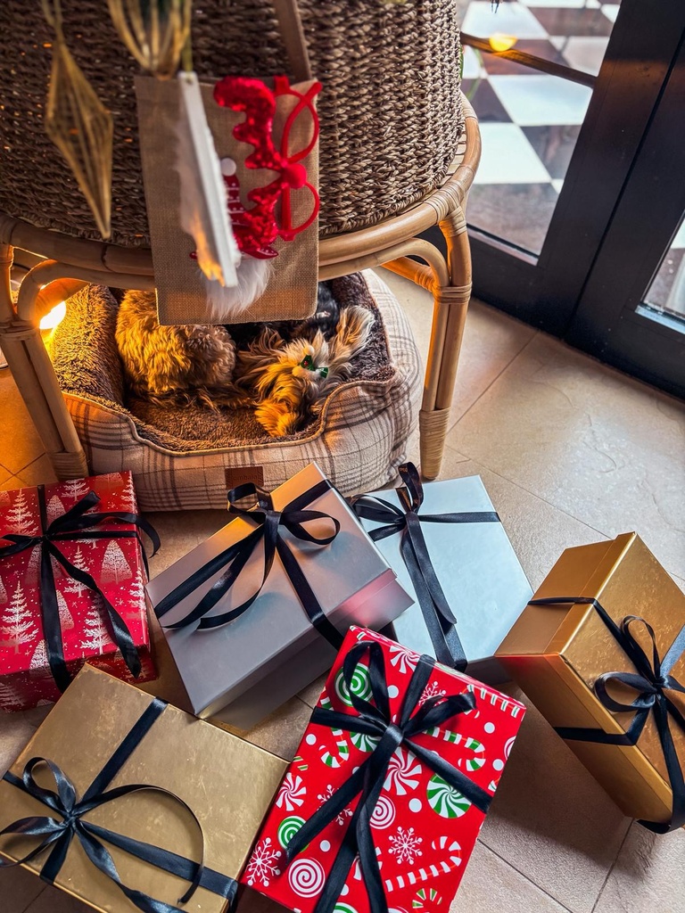 Kritsmas DOX premiun