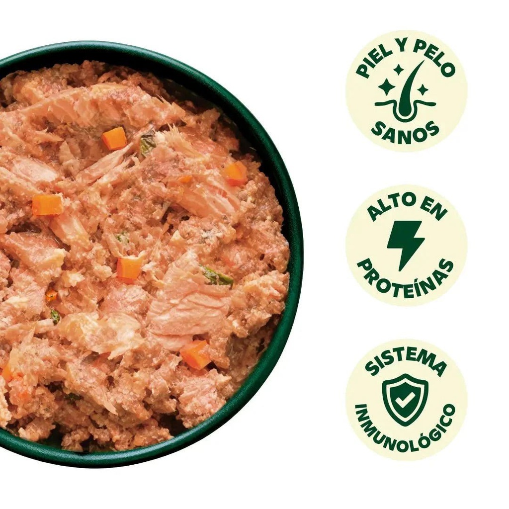 Menú Cocinado de Salmon y Ternera