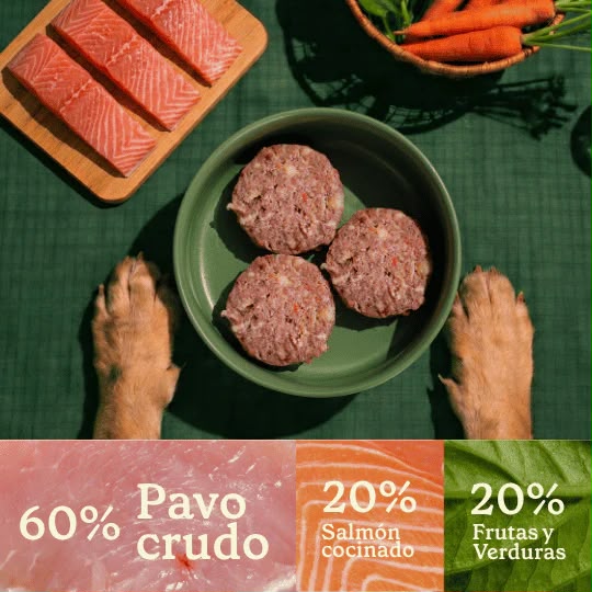 Menú Wild Balance Salmón cocinado y Pavo crudo