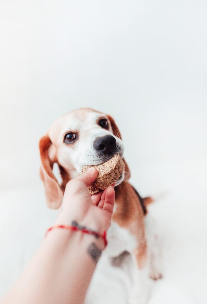 Hamburguesa de tripa verde