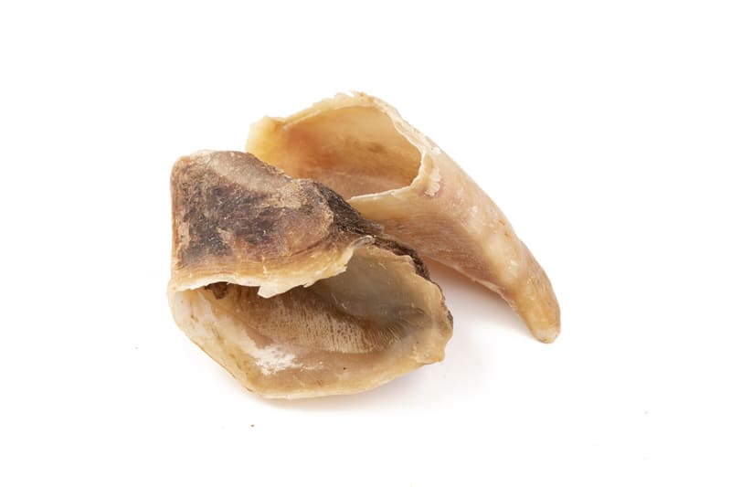 Pezuña de ternera rellenable