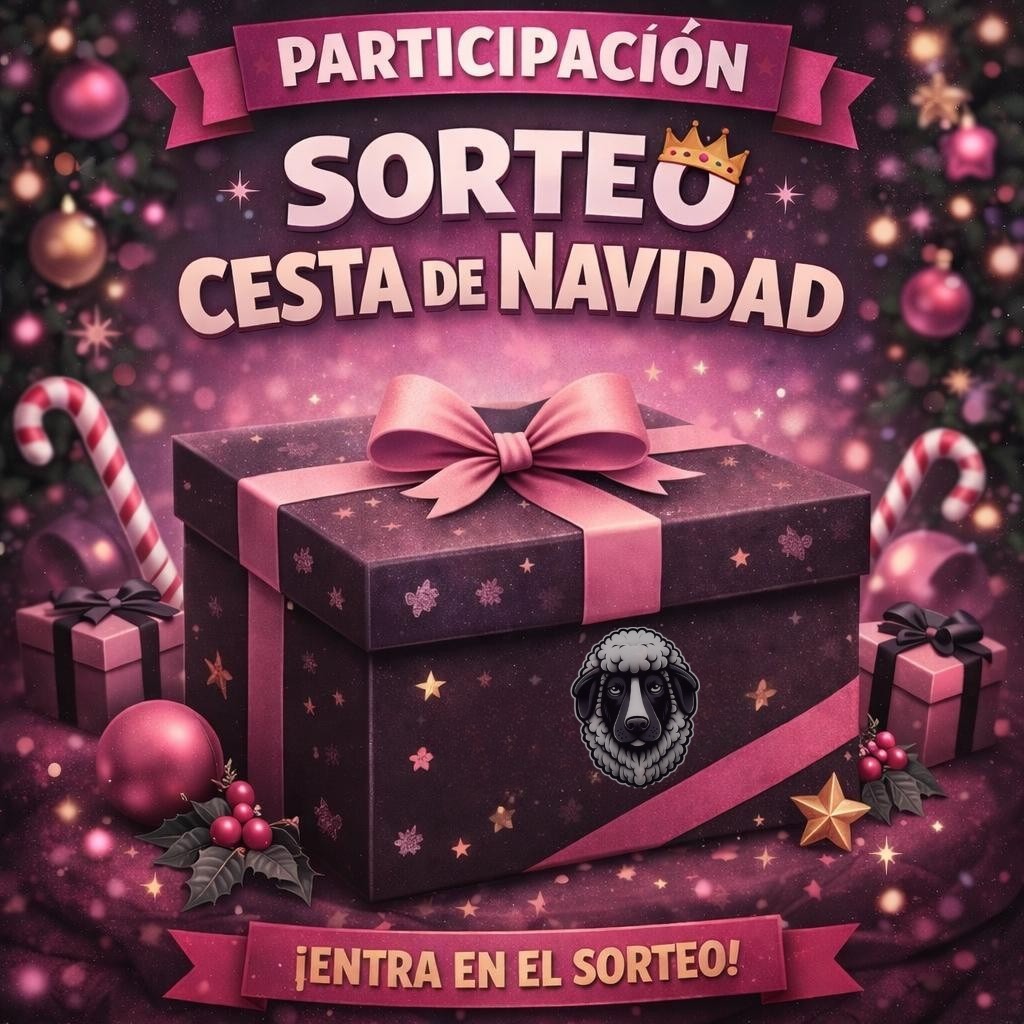Participación sorteo cesta de Reyes👑