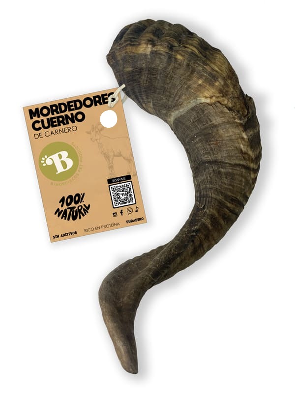 Pack pa´lamer 2 (Cuerno rellenable + Lata)