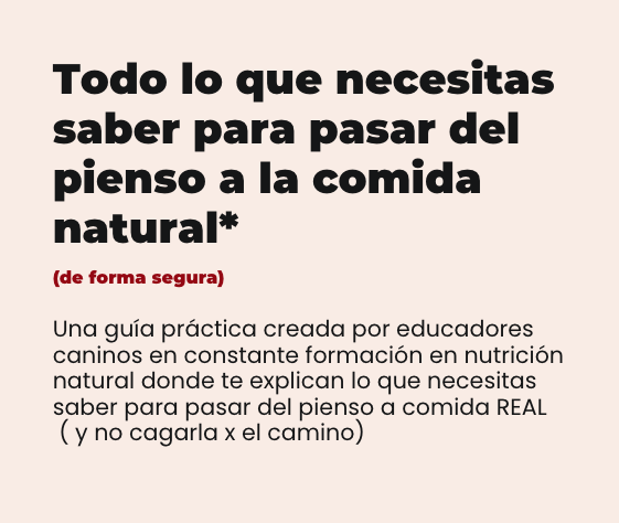 GUÍA: Cómo pasar del pienso a la comida natural (de forma segura)